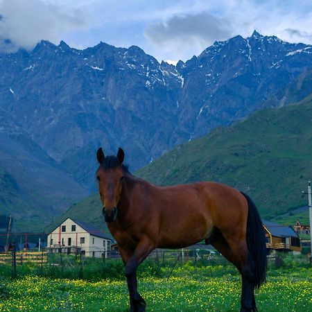 Savalley Kazbegi Экстерьер фото